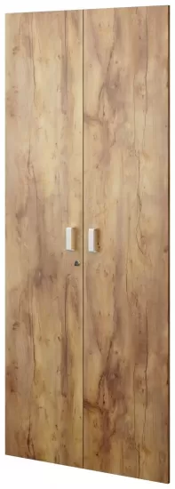 Двери глухие высокие