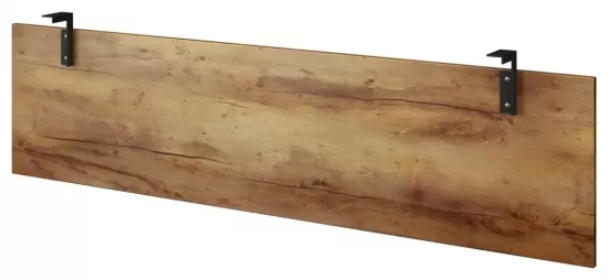 Модести-панель